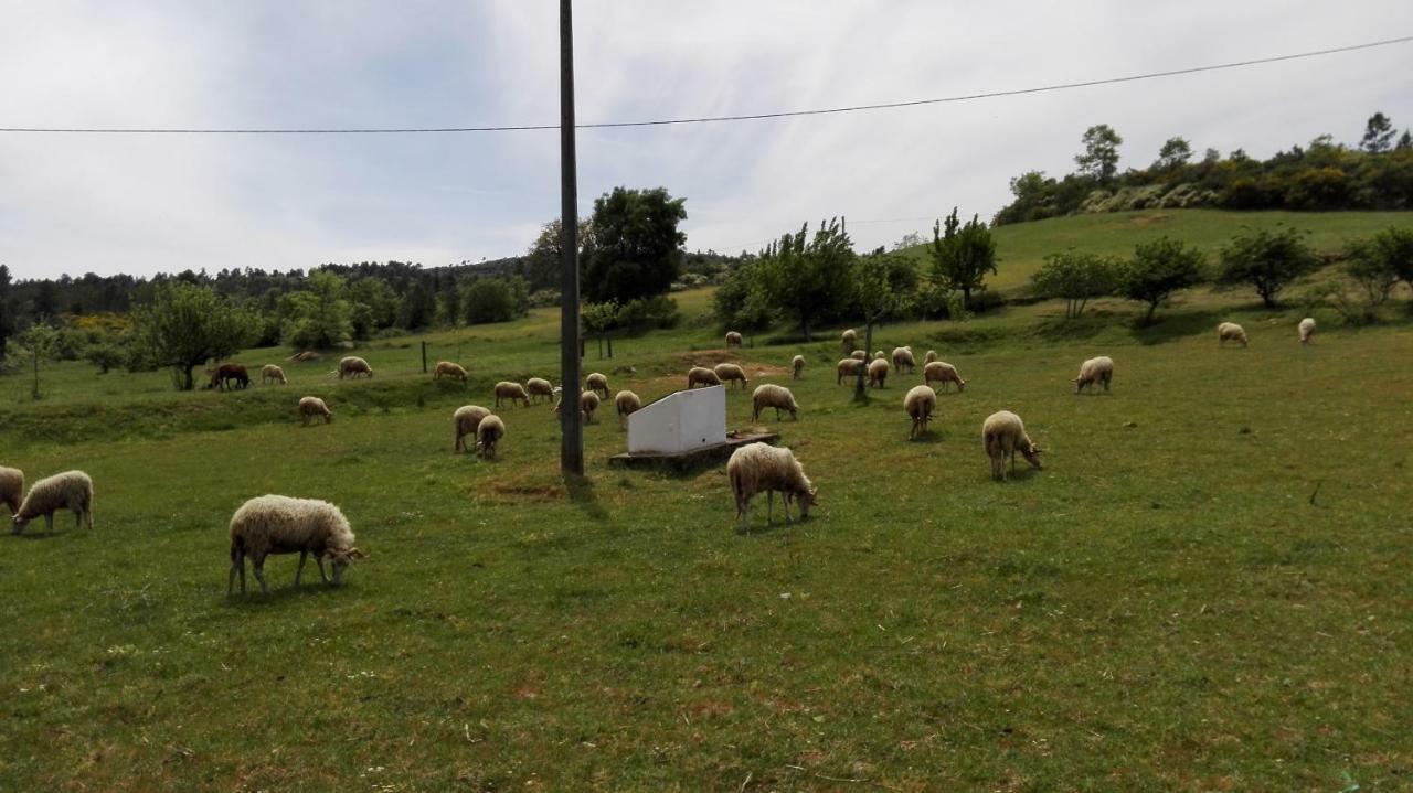 Casa De Malhoes Vilares Εξωτερικό φωτογραφία
