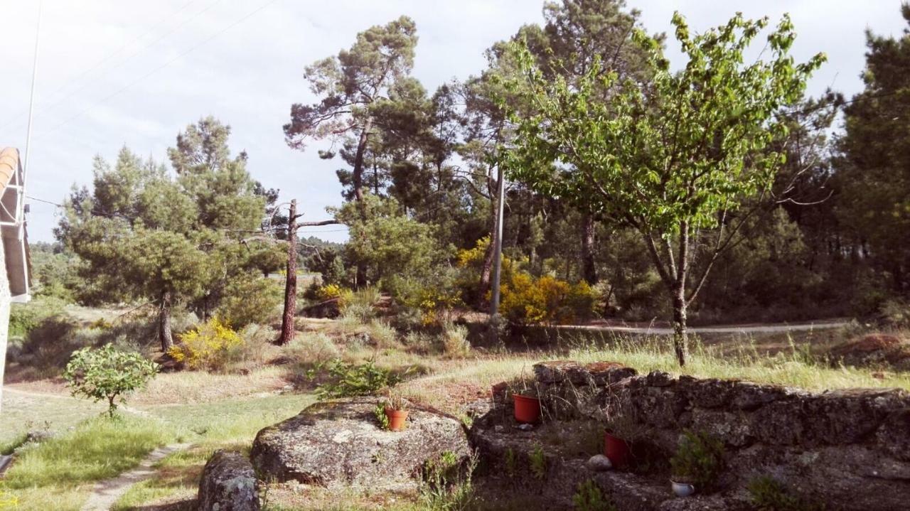 Casa De Malhoes Vilares Εξωτερικό φωτογραφία